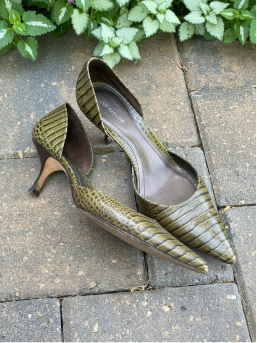 Ann Taylor Olive Green Croc-Embossed Leather Slingback Pumps,Size 9.5 Summer Sal